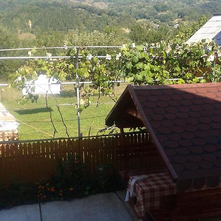 Pensiunea Popan Şieu Esterno foto