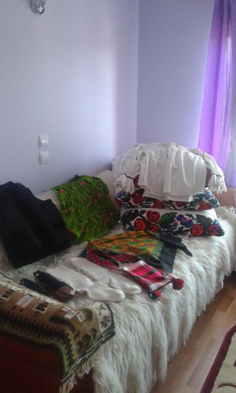 Pensiunea Popan Şieu Esterno foto