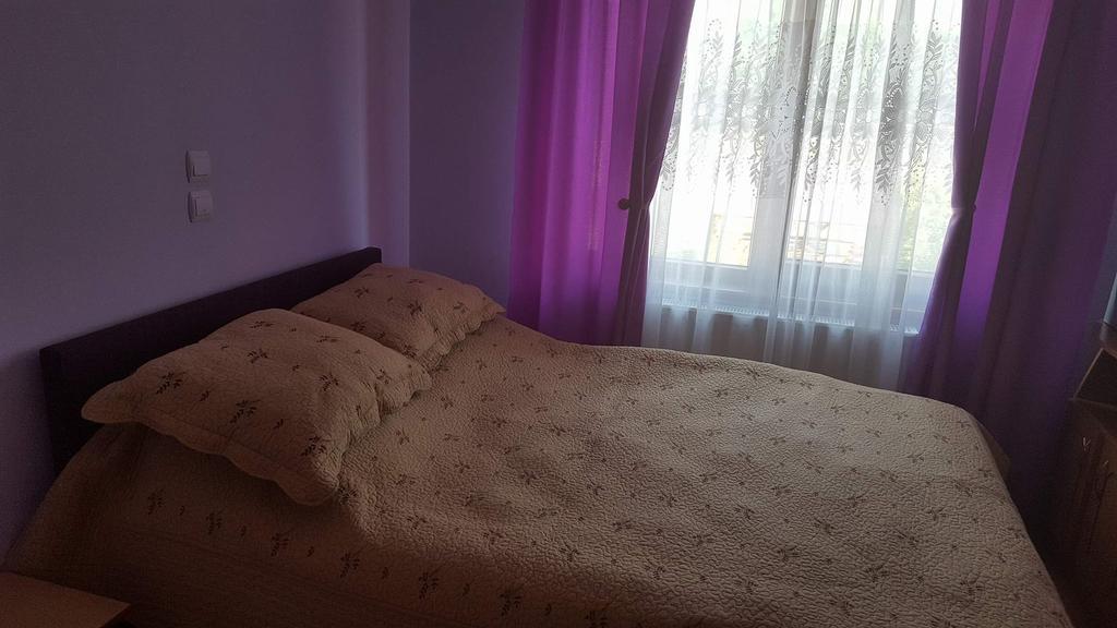 Pensiunea Popan Şieu Esterno foto