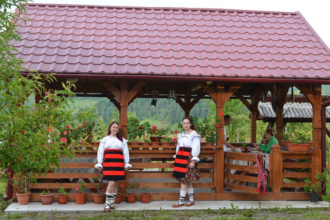 Pensiunea Popan Şieu Esterno foto