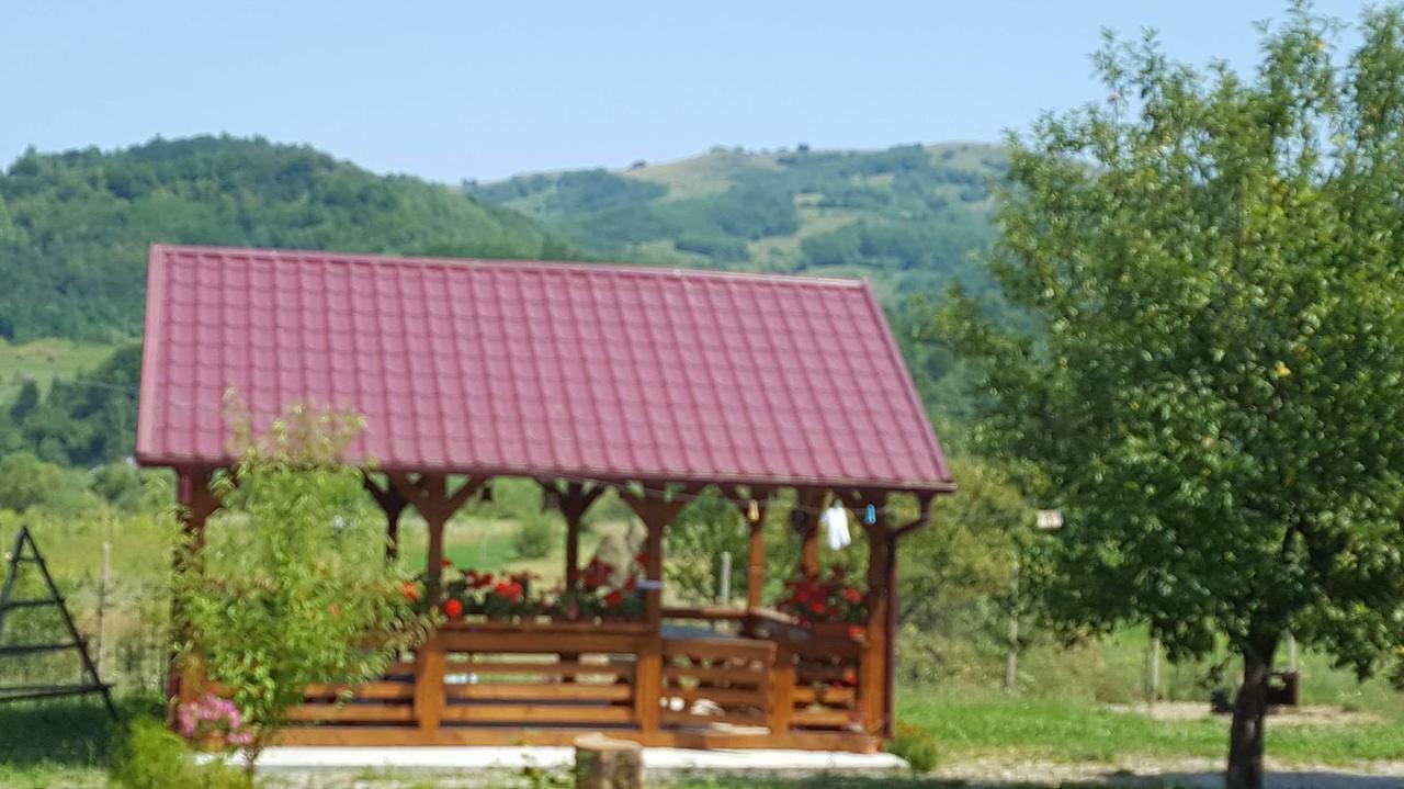 Pensiunea Popan Şieu Esterno foto